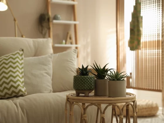 Pourquoi ajouter une touche de verdure à votre salon devient une tendance déco discrète