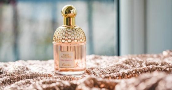 How Fragrance Guides Fashion: Stylish 2025 Trends
