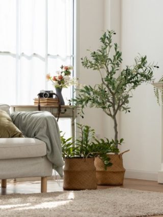How to Make Your Living Room Windows Fresh and Stylish