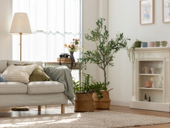 How to Make Your Living Room Windows Fresh and Stylish