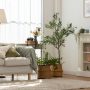How to Make Your Living Room Windows Fresh and Stylish